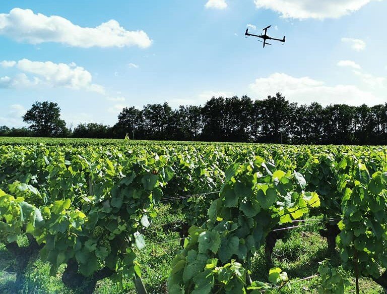 prestations agriculture drone
