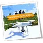 Formation pilote drone