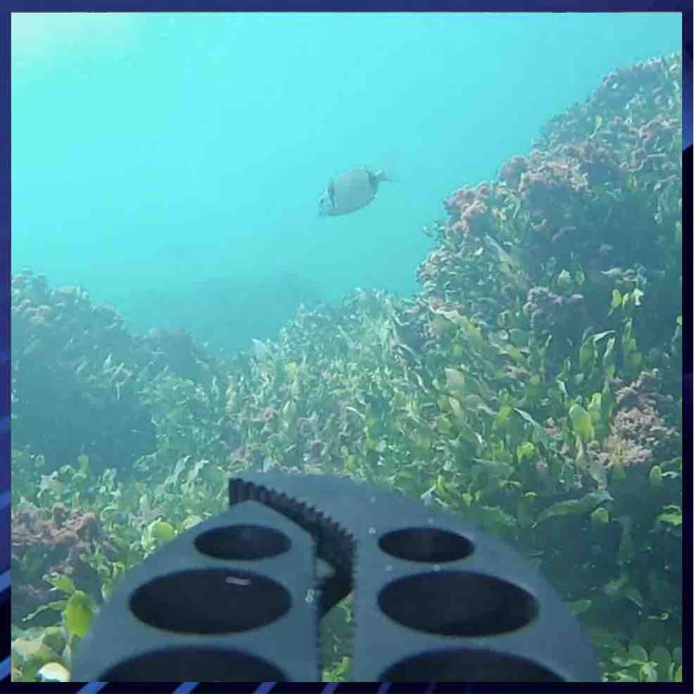 Notre agence AED drone Nice, inspection sous-marine et sub aquatique