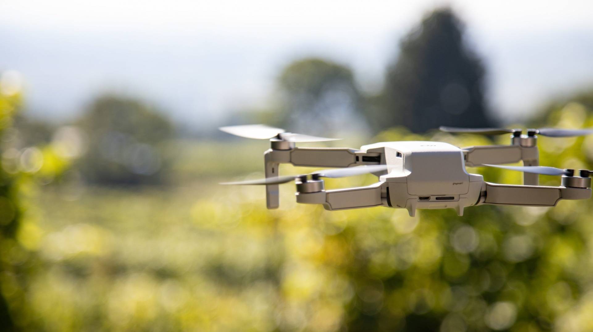 viticulture par drone
